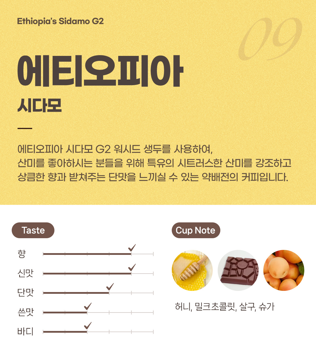 파란수염커피 에티오피아 시다모 G2