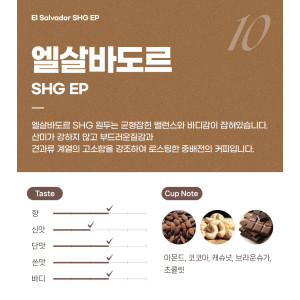 파란수염커피 엘살바도르 SHG